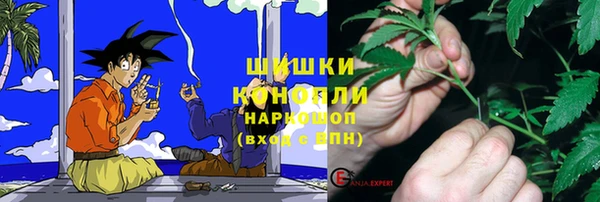 mdpv Киреевск