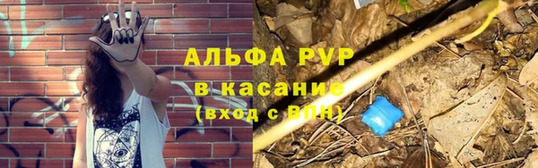 стаф Киренск
