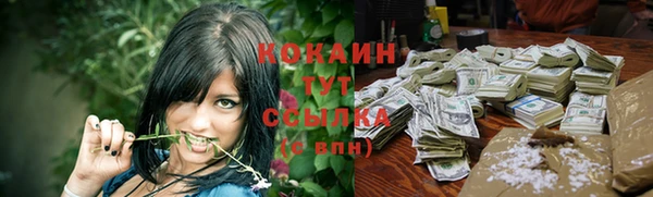 mdpv Киреевск