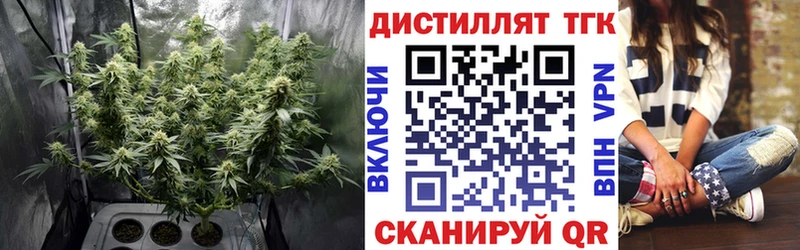 Купить закладки Перевоз ТГК Wax