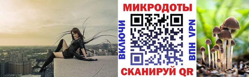 Купить закладки  Перевоз  Галлюциногенные грибы прущие грибы 